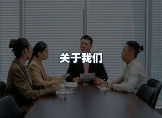专业团队
